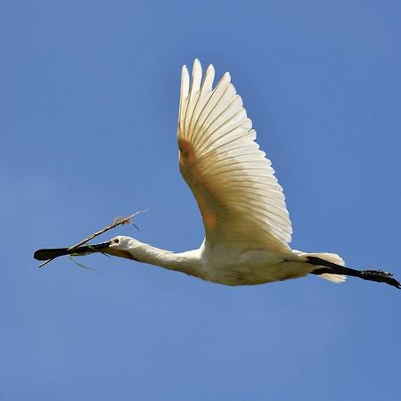 Spoonbill Cottage ファイリー エクステリア 写真