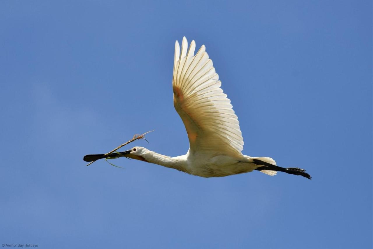 Spoonbill Cottage ファイリー エクステリア 写真